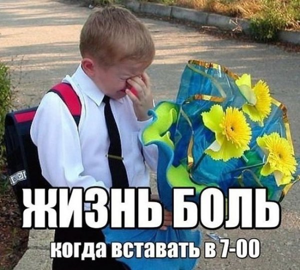 Шутки про 1 сентября