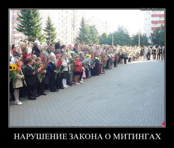 1 Сентября приколы
