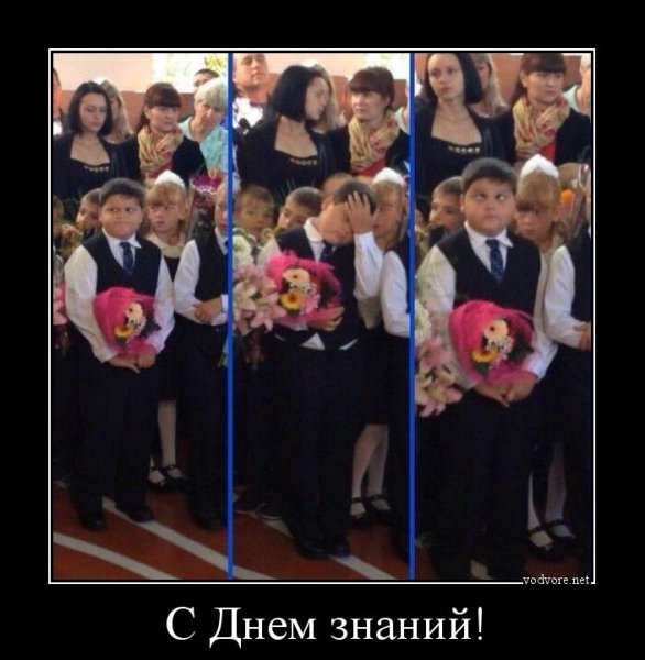 День знаний демотиватор