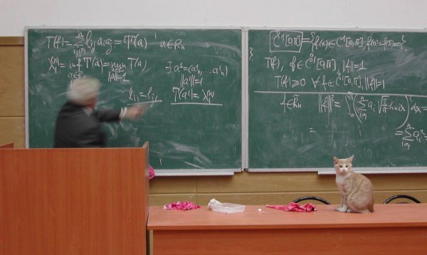 Приколы про преподавателей вузов
