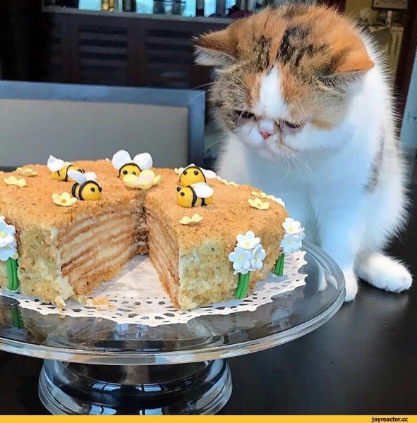 Прикольные торты
