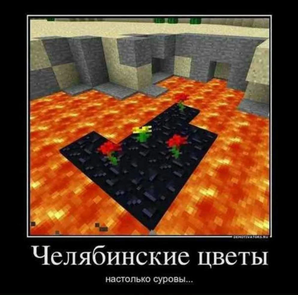 Майнкрафт приколы