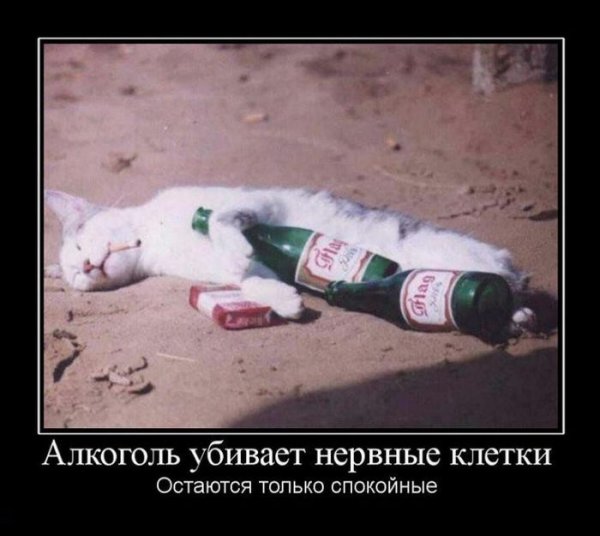 Демотиваторы про алкоголь прикольные