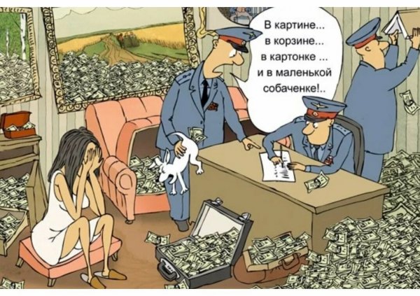 Эволюция прикол