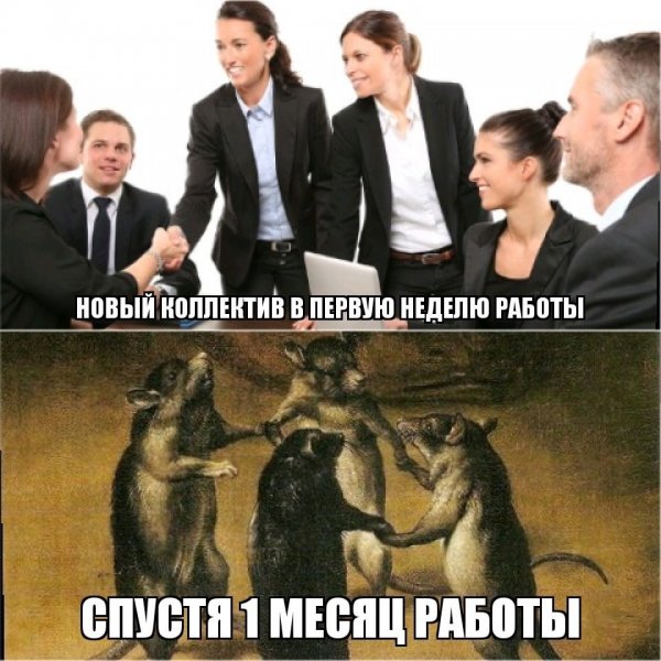 Мемы про коллектив