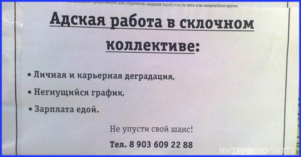 Прикольные объявления о работе