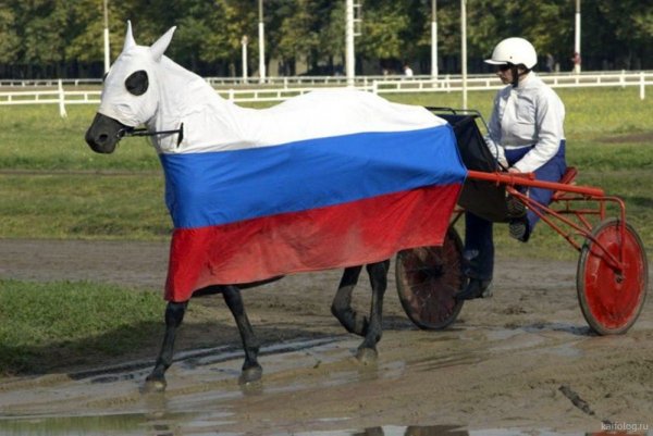 Смешной российский флаг