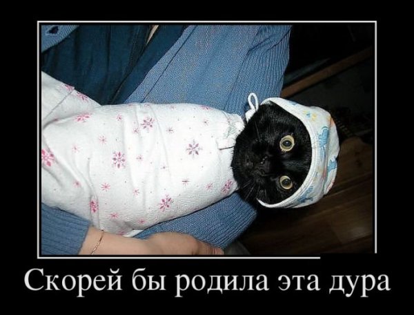 Приколы про роды и беременность