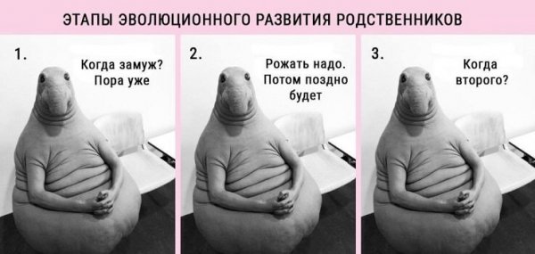 Мемы пока не родила
