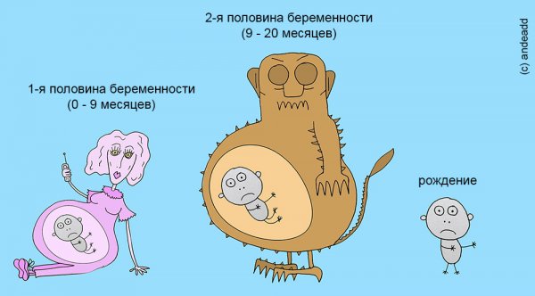 Смешные шутки про роды