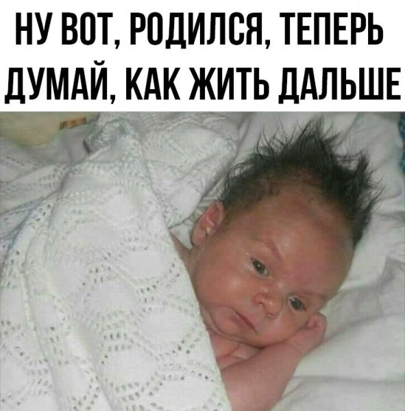 Смешные цитаты про беременных