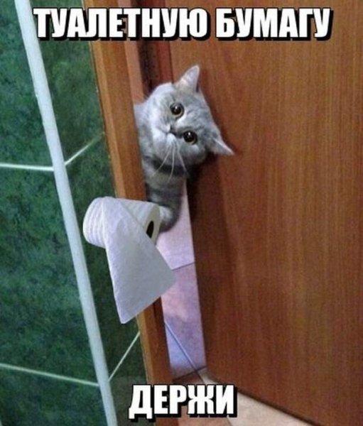 Смешные приколы с подписями
