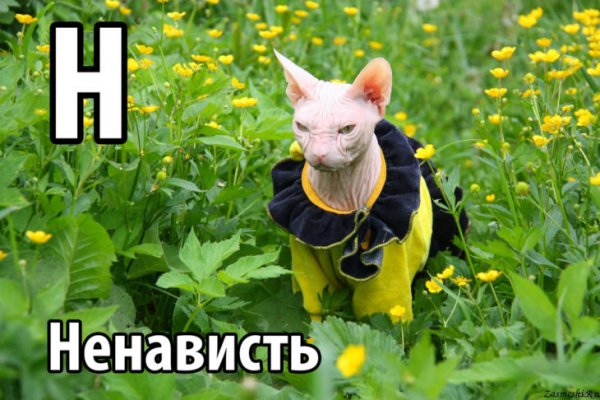 Мемные картинки с надписями
