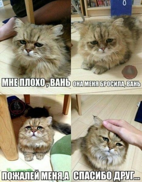 Приколы с надписями