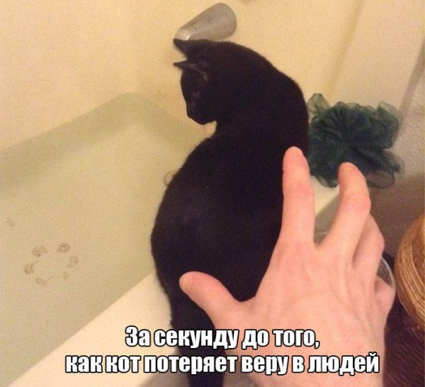 Смешные подписи