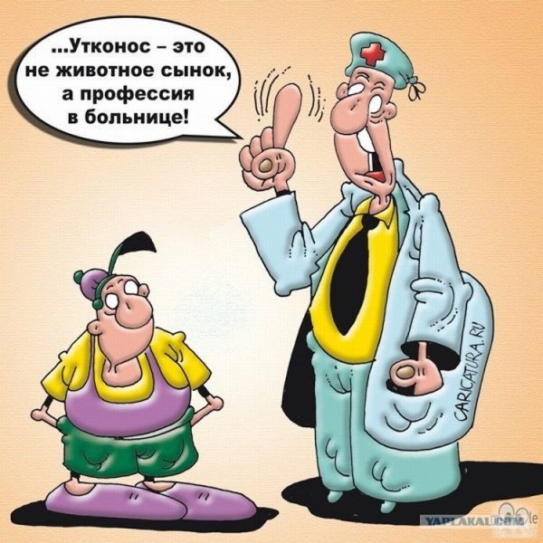 Анекдоты про профессии