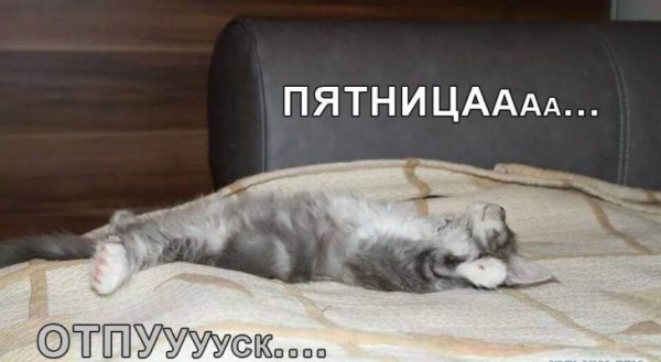 Пятница отпуск