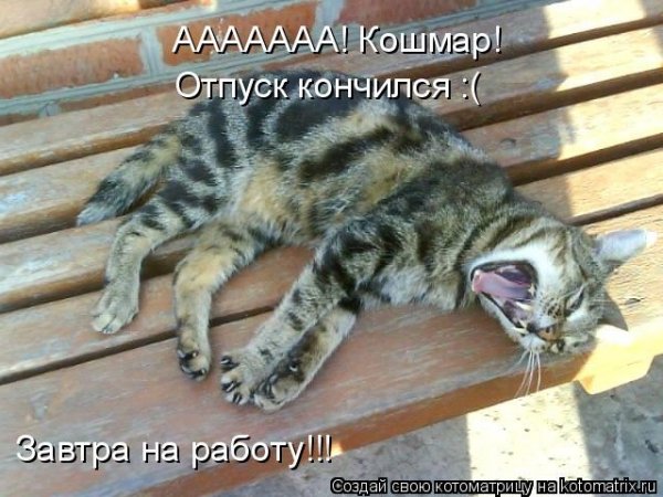 Отпуск закончился