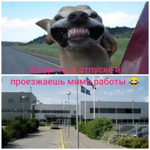 Завтра отпуск