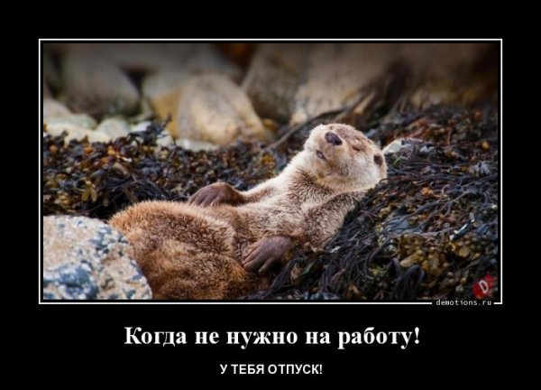 Когда не надо на работу картинки прикольные