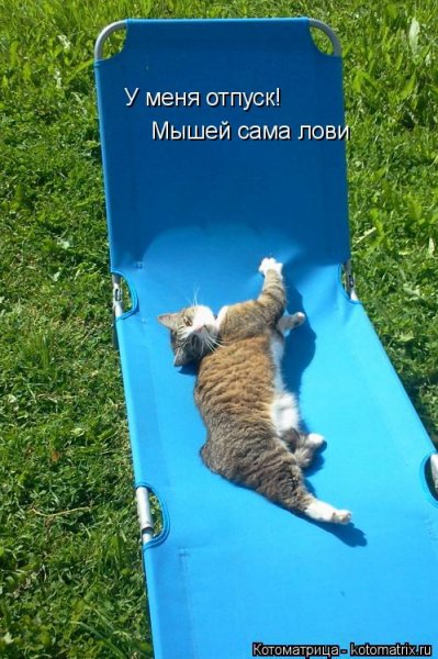 Я В отпуске