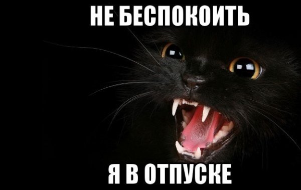 Я В отпуске не беспокоить