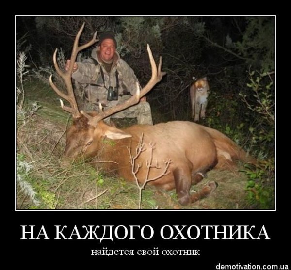 Приколы на охоте