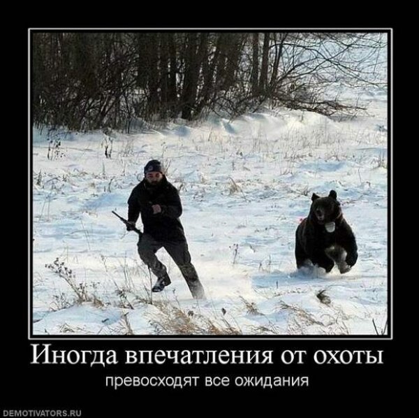 Демотиваторы охота прикольные