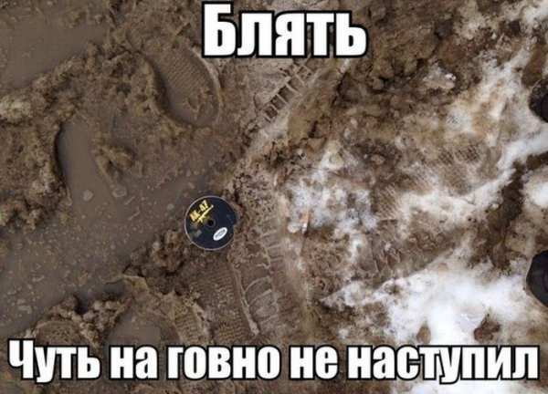 Смешные шутки про какашку