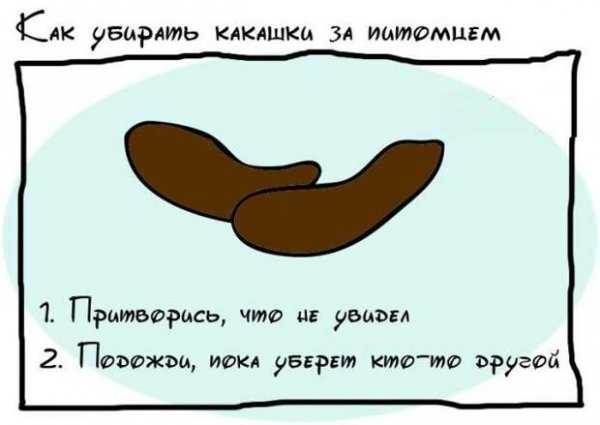 Смешные приколы про какашки