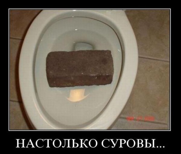 Смешные картинки какашки