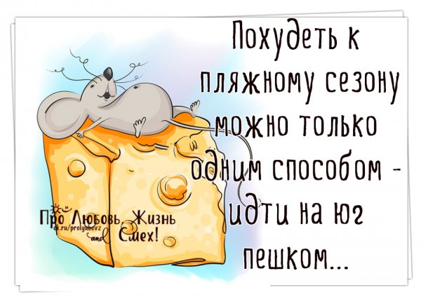 Статусы про диету и похудение