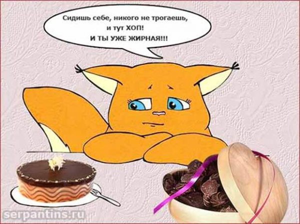 Приколы про диету