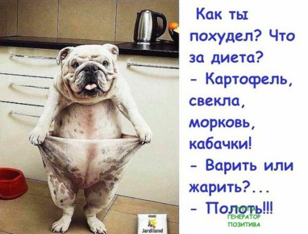 Приколы про диету