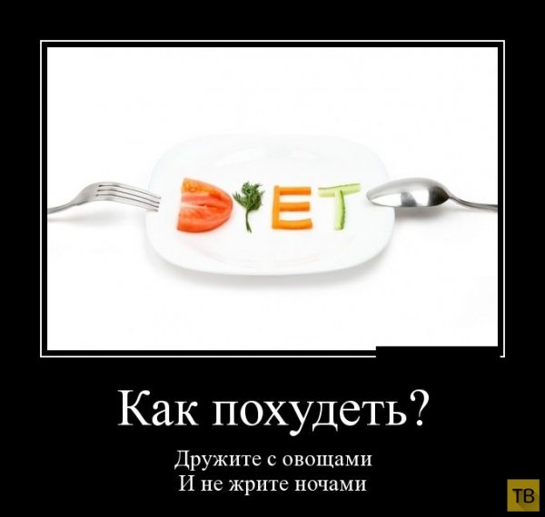 Приколы про диету