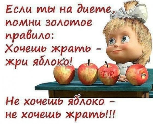 Смешные фразы про диету
