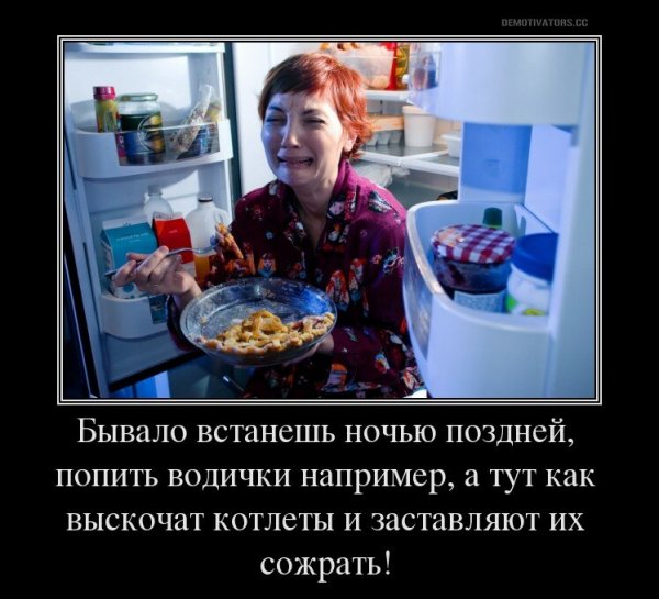 Приколы про диету