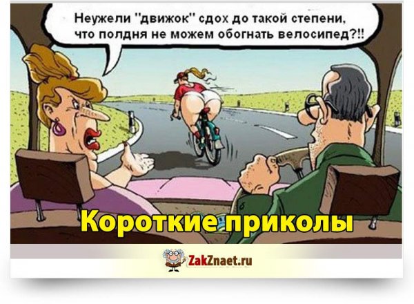 Короткие приколы