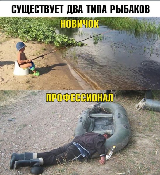Прикольные картинки приколы