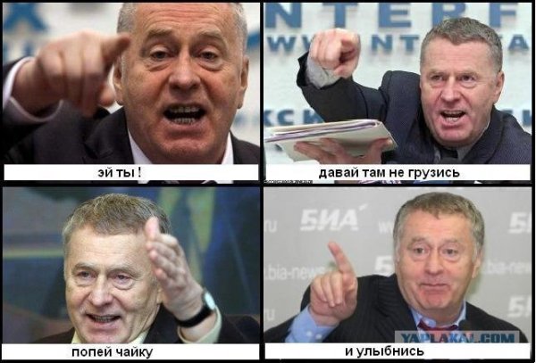 Жириновский приколы