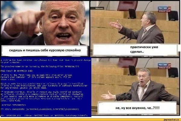 Жириновский смешные картинки