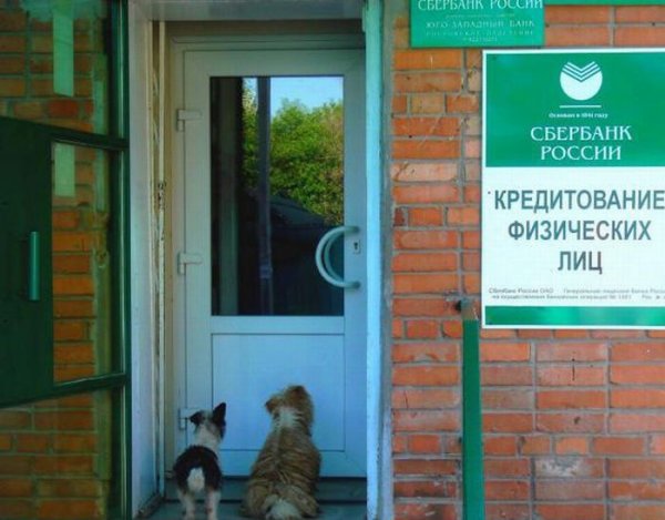 Сбербанк прикол