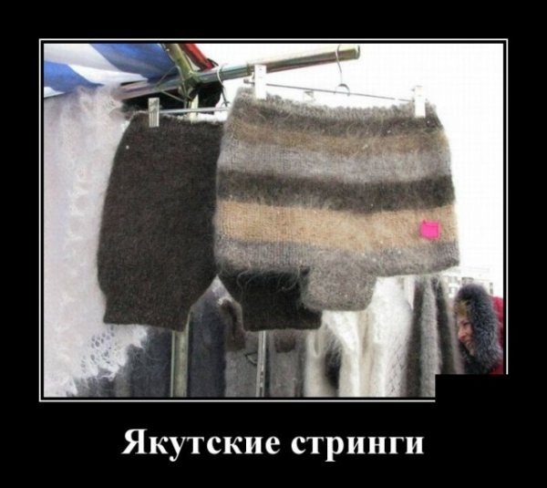 Шерстяные трусы женские прикол