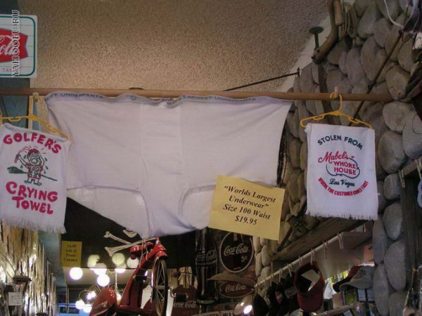 Смешное нижнее белье приколы