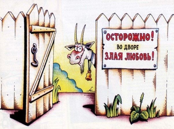 Любовь зла карикатура