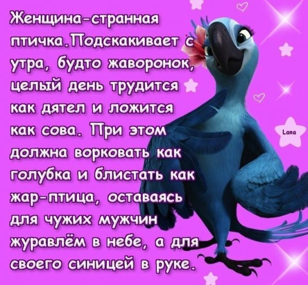 Смешные стихи про женщин