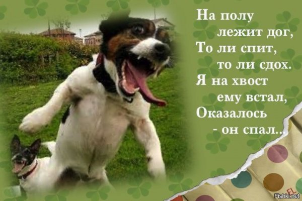 Смешные стихи