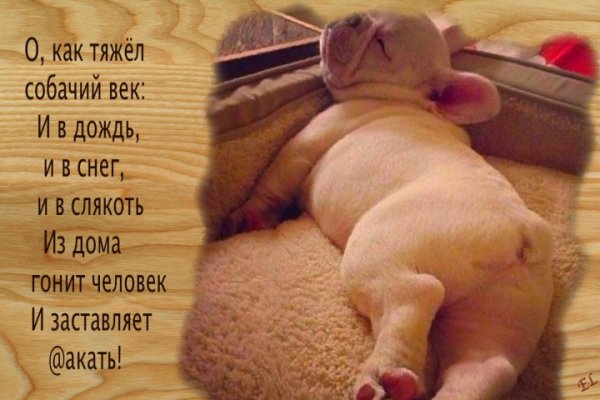 Стихи в картинках смешные