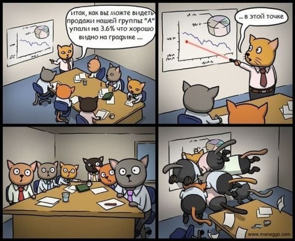Котики на совещании