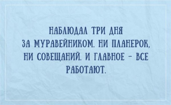 Шутки про совещания